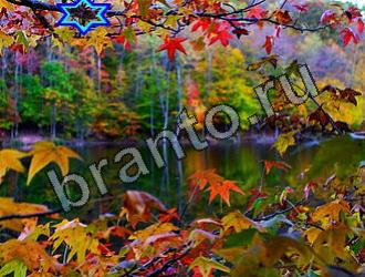 подсказки Найди животных Уровень 2144