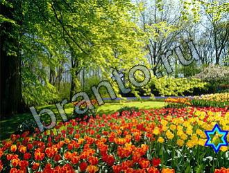 ответы на игру Найди животное Уровень 2145