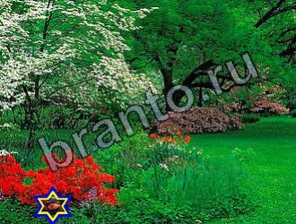 подсказки на игру Найди животных Уровень 2147