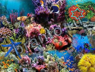 ответы на игру Найди животных одноклассники Уровень 2148