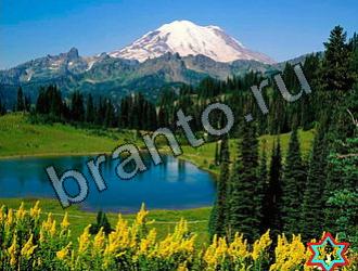 помощь на игру Найди животных Уровень 2149