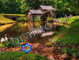 ответы на игру Найди животных в контакте Уровень 2150