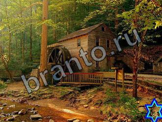 Найди животных игра ответы Уровень 2151