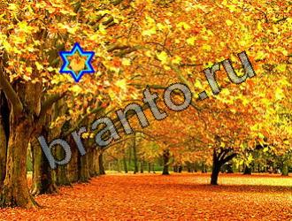 ответы на игру Найди животных Уровень 2152