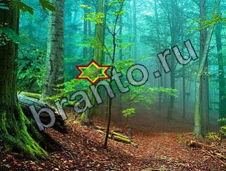 Найди животных решебник Уровень 2155