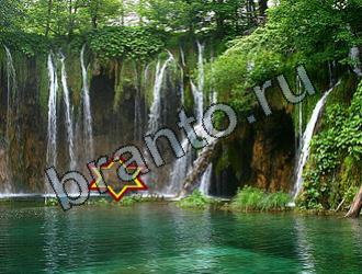 ответы на игру Найди животных Уровень 2156