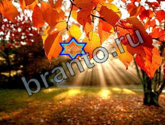 ответы на игру Найди животных Уровень 2157