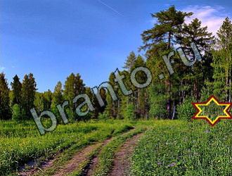 Найди животных подсказки в одноклассниках Уровень 2158