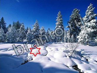 Игра Найди животных ответы Уровень 2160