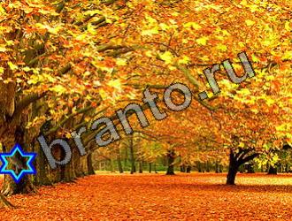 ответы на игру Найди животных Уровень 2162