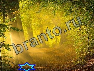 ответы на игру Найди животных Уровень 2163