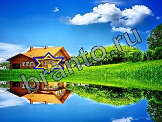 ответы на игру Найди животных Уровень 2164