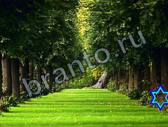 ответы на игру Найди животных Уровень 2166