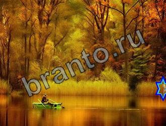 ответы на игру Найди животных Уровень 2168