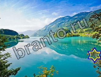 ответы на игру Найди животных Уровень 2169