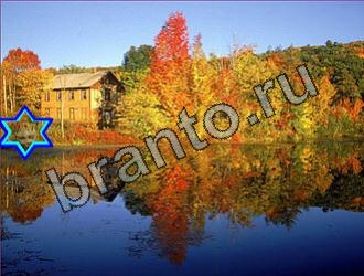 ответы на игру Найди животных Уровень 2170