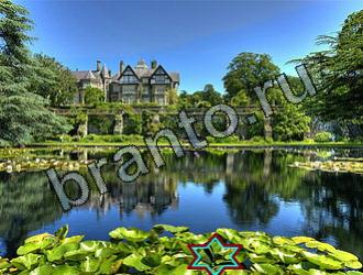 ответы на игру Найди животных Уровень 2171