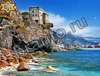 ответы на игру Найди животных Уровень 2172