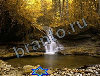 ответы на игру Найди животных Уровень 2173