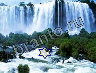 ответы на игру Найди животных Уровень 2176