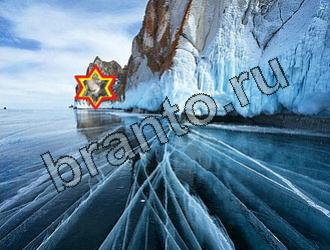 подсказки к игре Найди животных Уровень 2178