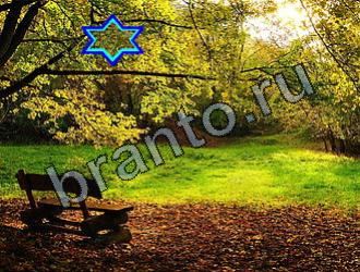 ответы на игру Найди животных Уровень 2179