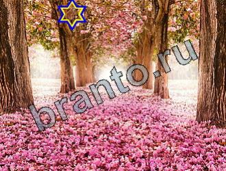 Найди животных ответы на игру Уровень 2181