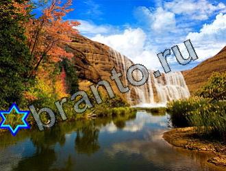 ответы на игру Найди животных Уровень 2182