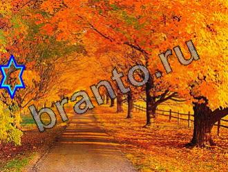 ответы на игру Найди животных Уровень 2185