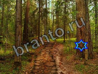 Найди животных Уровень 2187