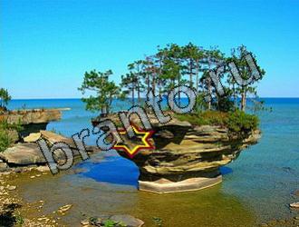 ответы на игру Найди животных Уровень 2188