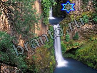 ответы на игру Найди животных Уровень 2190