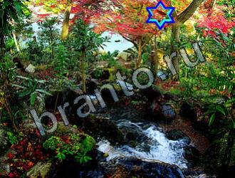 Найди животных подсказки Уровень 2191