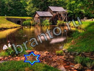 Игра Найди животных ответы Уровень 2193