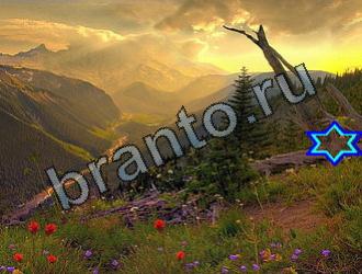 ответы на игру Найди животных Уровень 2196