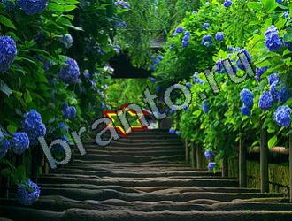 подсказки на игру Найди животных Уровень 2197