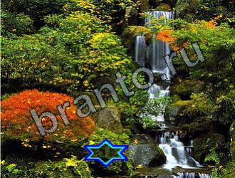 ответы на игру Найди животных одноклассники Уровень 2198