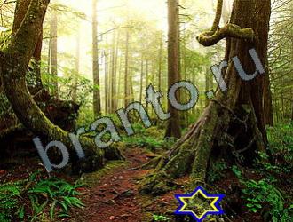 Найди животных игра ответы Уровень 2201