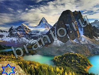 ответы на игру Найди животных Уровень 2202