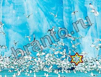 ответы на игру Найди животных Уровень 2204