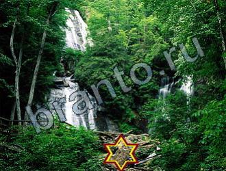 Найди животных решебник Уровень 2205