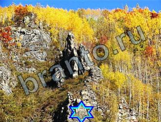 ответы на игру Найди животных Уровень 2207