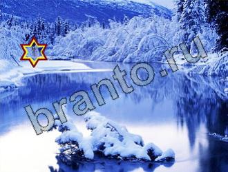 Найди животных подсказки в одноклассниках Уровень 2208