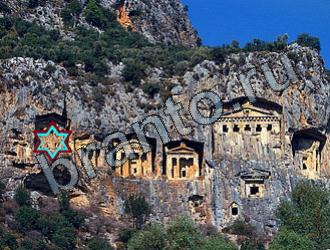 ответы на игру Найди животных Уровень 2209