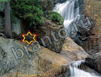 ответы на игру Найди животных Уровень 2211