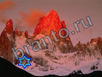 ответы на игру Найди животных Уровень 2213