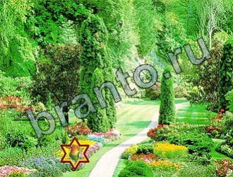 ответы на игру Найди животных Уровень 2214