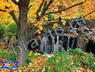 ответы на игру Найди животных Уровень 2218