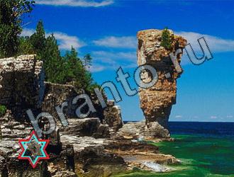 ответы на игру Найди животных Уровень 2219