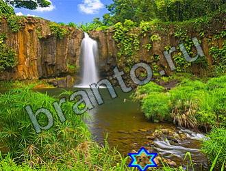 ответы на игру Найди животных Уровень 2220